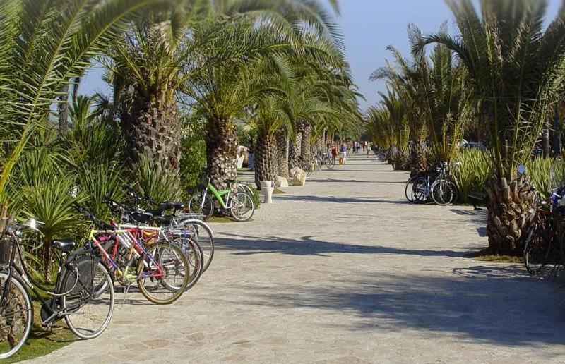Hotel President San Benedetto del Tronto Esterno foto